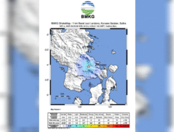 Gempa M3,4 Guncang Konawe Selatan, Disebabkan Aktivitas Sesar Pelosika