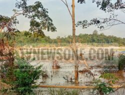 Aktivitas PETI Marak di Dusun Rantau Sibaju, Pemerintah Desa Terkesan Tutup Mata