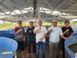 Anggota DPRD Sambas Rahmadi Kunjungi Budidaya Lele Bioflok