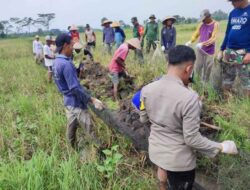 Polisi Bantu Petani Jaga Ketahanan Pangan, Bukan Sekadar Penegak Hukum