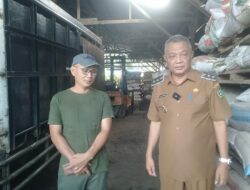 Bengkayang Ekspor 12 Ton Jagung ke Malaysia, Dukung Ketahanan Pangan Nasional