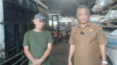 Bengkayang Ekspor 12 Ton Jagung ke Malaysia, Dukung Ketahanan Pangan Nasional