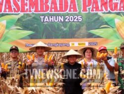 Polri Panen Jagung Hibrida di Bengkayang, Wujud Nyata Program Ketahanan Pangan Nasional