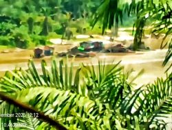 Aktivis Peti Marak di Dusun Empanan Desa Semarangkai kecamatan Kapuas Kabupaten Sanggau, APH Abai?