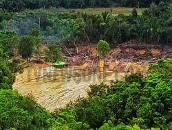 Tambang Emas Ilegal di Puaje Bengkayang Kian Berani, Warga Pertanyakan Peran APH