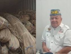 Kasus Penyelundupan Rotan di Kalbar, GNPK RI Desak Aparat Ungkap Aktor Utama