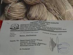 GNPK RI Kalbar Surati Bea Cukai, Minta Klarifikasi Pengungkapan Kontainer Rotan Ilegal di Pelabuhan Dwikora