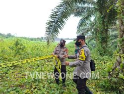 Mayat Mengering Ditemukan di Pondok Kebun Terbengkalai di Air Upas, Polisi Selidiki Identitas Korban