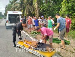 Pejalan Kaki Diparindu Tewas Ditabrak Lari, Polisi Lakukan Penyelidikan