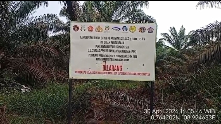 Lahan Plasma bersertifikat milik petani di Desa Karimunting, Kecamatan Sungai Raya Kepulauan.
