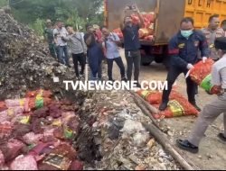 Bareskrim Polri Musnahkan 20 Ton 930 Kg Bawang Impor Ilegal Masuk dari Jalur Tikus Perbatasan Malaysia