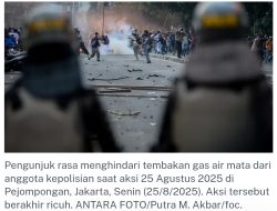Pengamat Apresiasi Polri Presisi, Tertibkan Demo Tanpa Korban Jiwa