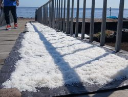 Belajar dari Bali: BI Kalbar dan Pokdarwis Jagoi Babang Gali Inspirasi Desa Wisata Les, Buleleng