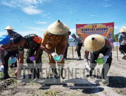 Polres Bengkayang Tanam Jagung di Lahan Demplot, Dukung Swasembada Pangan 2025