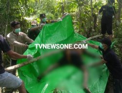 Warga Jangkang Digegerkan Penemuan Jasad Lansia di Sungai Remoncok